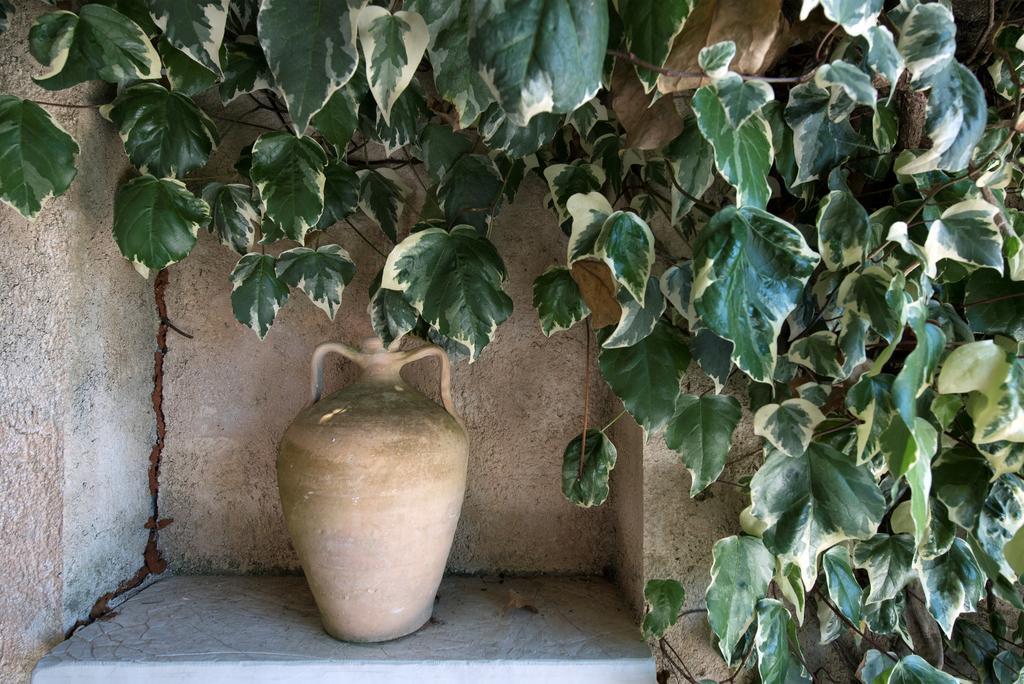 Villa Anastasia Σπαρτύλας Εξωτερικό φωτογραφία